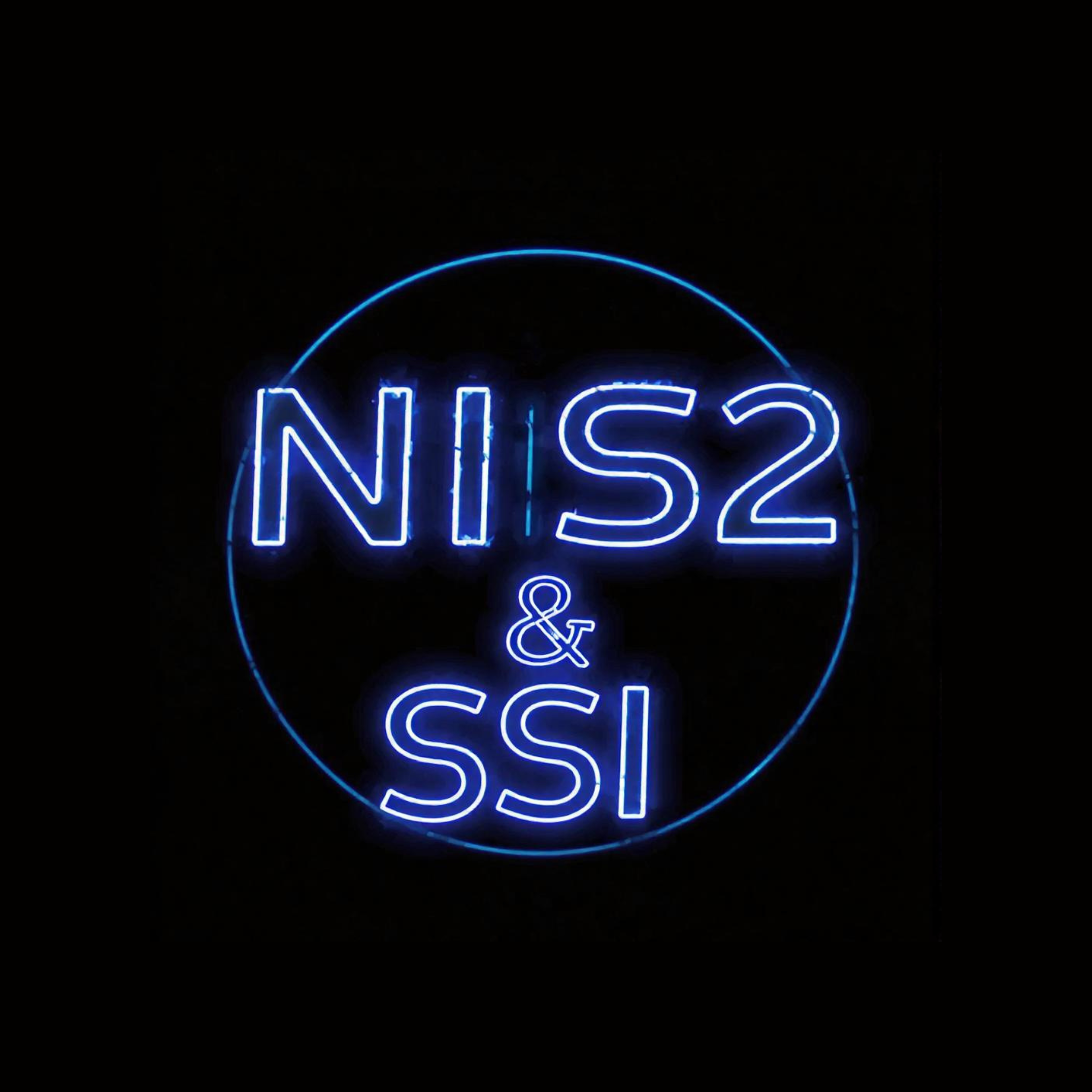 NIS2 y SSI: Fortaleciendo la Ciberseguridad Empresarial