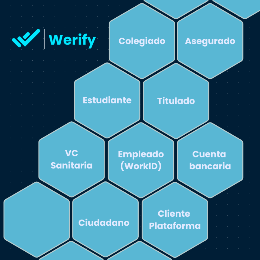 Werify SSI Werify SSI
